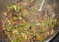 Birkenhof - Ratatouille