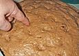 Selkirk Bannock  -  weihnachtlich abgewandelt