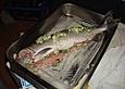 Lachs mit Zitronenbuttermilch