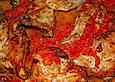 Italienisches Kaninchen