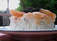 Lachs - Timbale