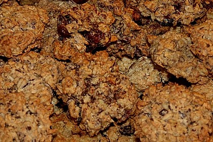 Haferflockenplätzchen 19