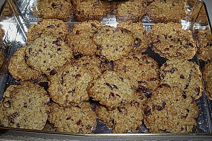 Haferflockenplätzchen 14