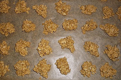 Haferflockenplätzchen 6