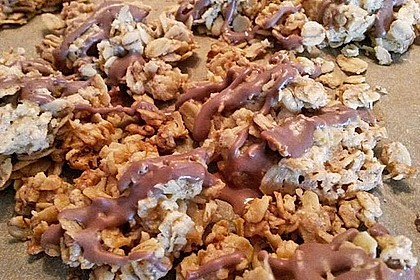 Haferflockenplätzchen 11