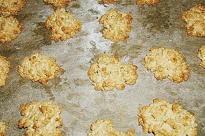 Haferflockenplätzchen 24