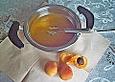 Panna cotta mit Aprikosenso&szlig;e