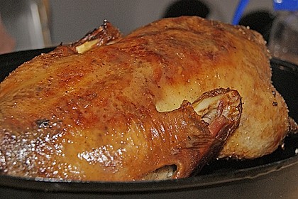 Weihnachts - Ente 11