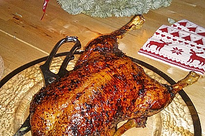 Weihnachts - Ente 5