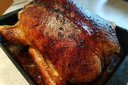 Weihnachts - Ente 6