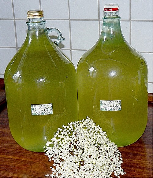 Holunderblütensirup (Rezept Mit Bild) Von Maire | Chefkoch.de