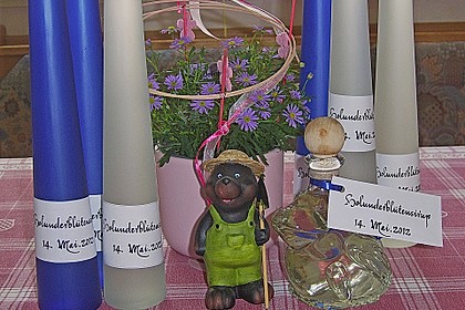 Holunderblütensirup 12
