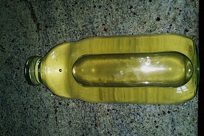 Holunderblütensirup 26