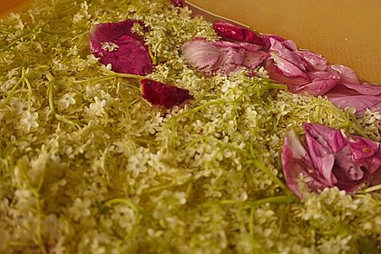 Holunderblütensirup 10