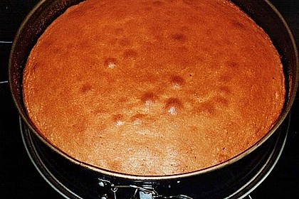 Saftiger Zitronenkuchen 56
