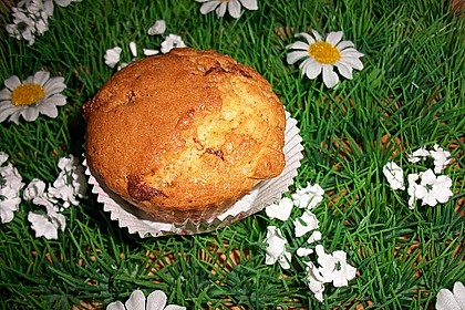 Amerikanische Schokomuffins 14