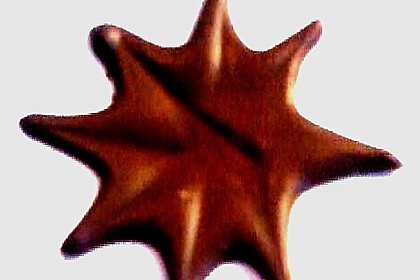 Schokosterne 6