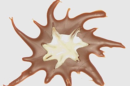 Schokosterne 17