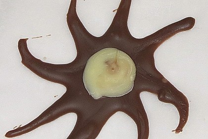 Schokosterne 18