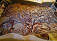 Marmor - Brownies mit Erdn&uuml;ssen