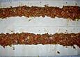 Klassischer Fleischstrudel