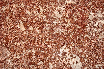 Balsamico - Salz 12