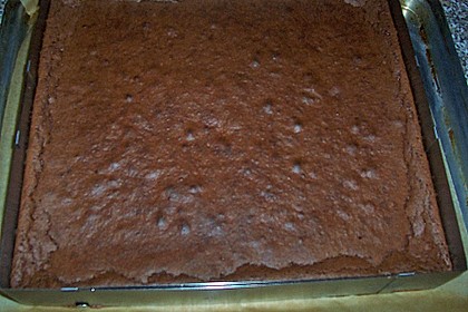 Schokokuchen 113