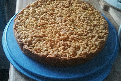 Schneller gedeckter Apfelkuchen 2