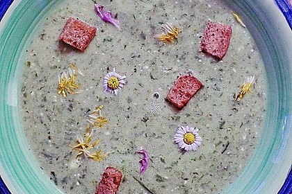Fr&uuml;hlingskr&auml;utersuppe 1