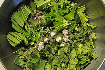 Fr&uuml;hlingskr&auml;utersuppe 2