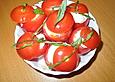 Gef&uuml;llte Kirschtomaten italienische Art
