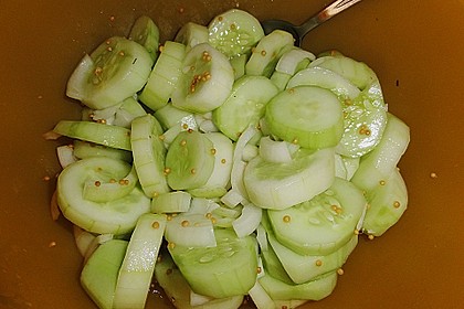 Schnellgurken 1