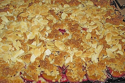 Zwetschgenkuchen mit Marzipan - Mandelstreuseln 1