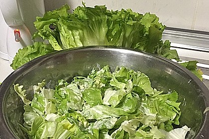 Endiviensalat mit Zwiebel - Sahnedressing 5
