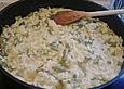 Fenchel - Risotto