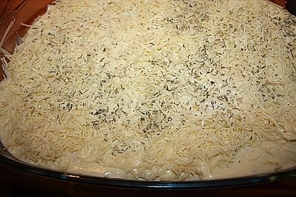 K&uuml;rbislasagne 11