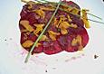 Zitroniges Rote Bete - Carpaccio mit Bottarga