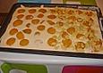 Pfirsich - Mascarpone - Kuchen mit Streuseln