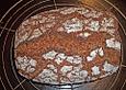 Vollkornbrot