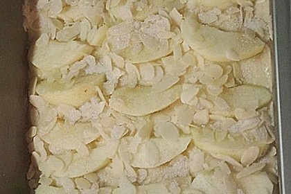 Apfelkuchen 7