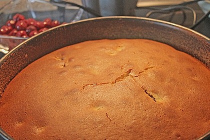 Joghurt - Beeren - Kuchen 4