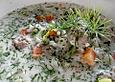 Dillsuppe Hortense