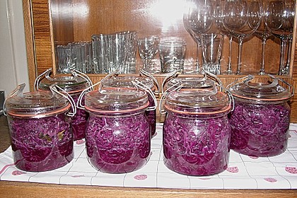 Blaukraut (Rotkraut, Rotkohl) 25