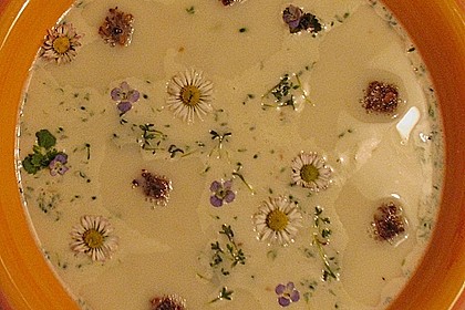 Fr&uuml;hlings - Kresse - Suppe 1