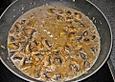 Champignon - Rahm - Sauce