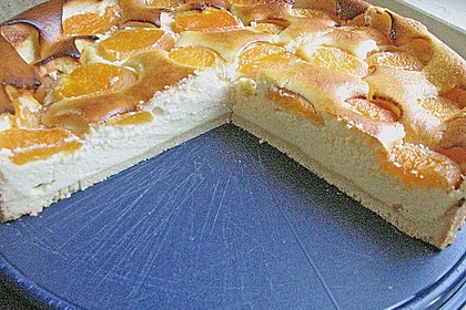 Aprikosen - K&auml;sekuchen 1