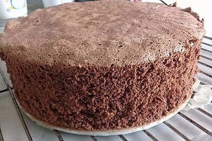 Schokoladenbiskuit 8