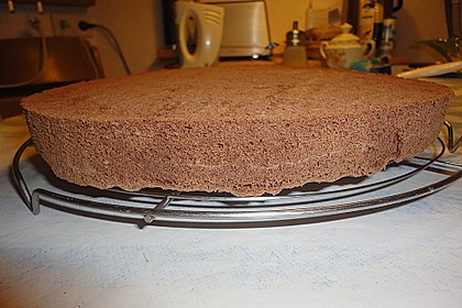 Schokoladenbiskuit 9
