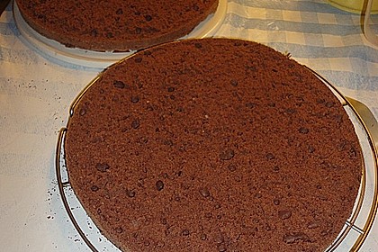 Schokoladenbiskuit 3
