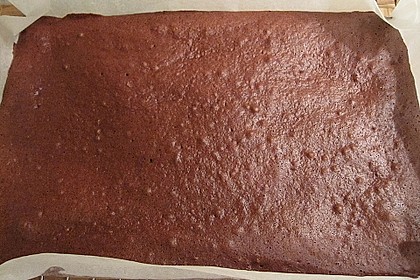 Schokoladenbiskuit 10